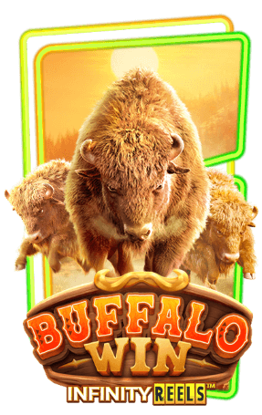 buffalo-win